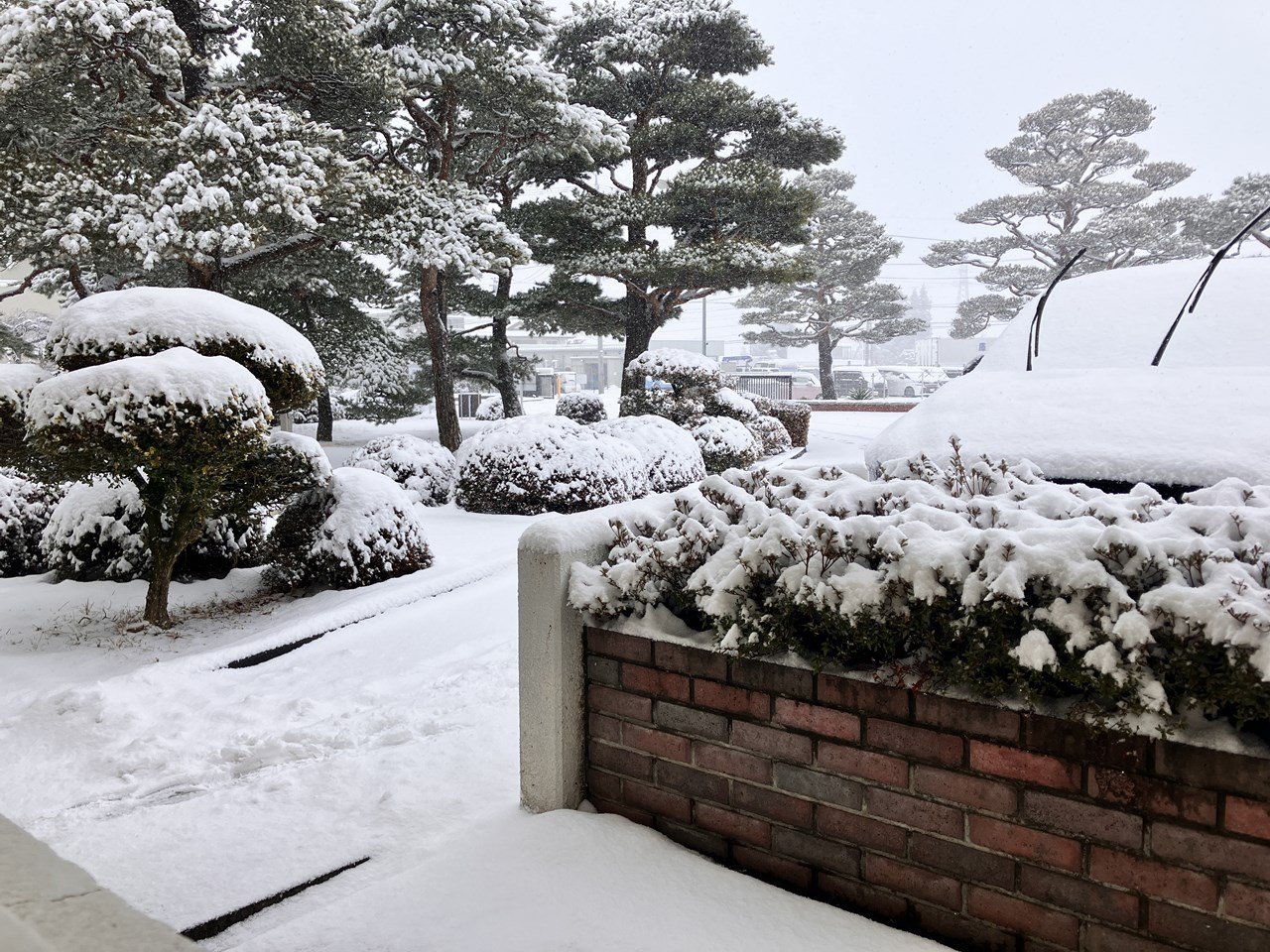 https://www.nippov.co.jp/news/images/20240205SNOW.JPG