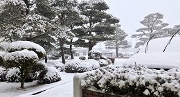 2024.02.05 大雪に伴う配達遅延について